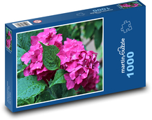 Hydrangea - pink, dew Puzzle 1000 pieces - 60 x 46 cm 