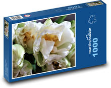 Tulipany - białe, wiosenne Puzzle 1000 elementów - 60x46 cm