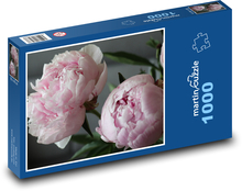 Pivonky - ružové Puzzle 1000 dielikov - 60 x 46 cm 