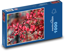Drištál - ker, rastlina Puzzle 1000 dielikov - 60 x 46 cm 