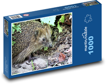 Igel - Natur, Wald Puzzle 1000 Teile - 60 x 46 cm