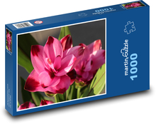 Kurkuma - Blume, rosa Puzzle 1000 Teile - 60 x 46 cm