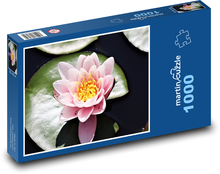 Seerose - rosa Blume Puzzle 1000 Teile - 60 x 46 cm