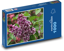 Orgován - kvet, ker Puzzle 1000 dielikov - 60 x 46 cm 