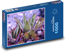 Cactus - succulents, flowers Puzzle 1000 pieces - 60 x 46 cm 