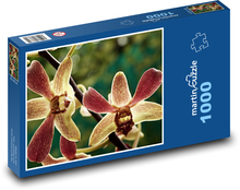 Orchidee - Blume, Pflanze Puzzle 1000 Teile - 60 x 46 cm