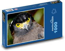 Hawk - predator Puzzle 1000 pieces - 60 x 46 cm 