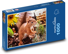 Veverička - zviera, mláďa Puzzle 1000 dielikov - 60 x 46 cm 