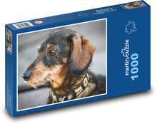 Dackel - Hund Puzzle 1000 Teile - 60 x 46 cm
