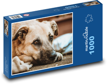 Pies na ulicy Puzzle 1000 elementów - 60x46 cm