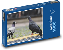 Holubi - ptáci Puzzle 1000 dílků - 60 x 46 cm