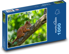 Squirrel - baby on a tree Puzzle 1000 pieces - 60 x 46 cm 