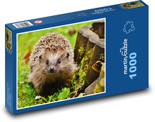 Igel am Zaun Puzzle 1000 Teile - 60 x 46 cm