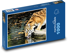 Tygr u vody Puzzle 1000 dílků - 60 x 46 cm