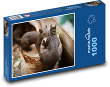 Veverky na pařezu Puzzle 1000 dílků - 60 x 46 cm