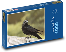 Crow, bird, animal Puzzle 1000 pieces - 60 x 46 cm 
