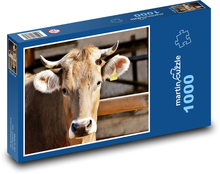 Krava - dobytok, rohy Puzzle 1000 dielikov - 60 x 46 cm