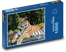 Tiger im Zoo Puzzle 1000 Teile - 60 x 46 cm