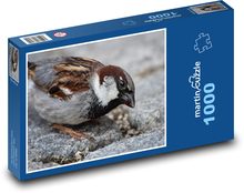 Vrabec - vták, zobák Puzzle 1000 dielikov - 60 x 46 cm 