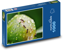Peony - ants, rain Puzzle 1000 pieces - 60 x 46 cm 
