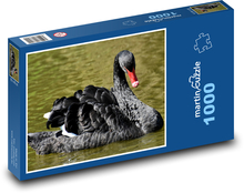 Schwarzer Schwan im Wasser Puzzle 1000 Teile - 60 x 46 cm