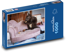 Veverka s oříškem Puzzle 1000 - 60x46 cm