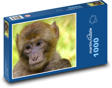 Makak v zoo Puzzle 1000 dílků - 60 x 46 cm