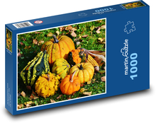 Jesienne zbiory dyni Puzzle 1000 elementów - 60x46 cm