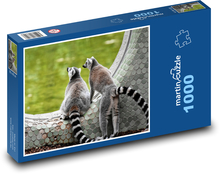 Lemur - opice v zoo Puzzle 1000 dílků - 60 x 46 cm