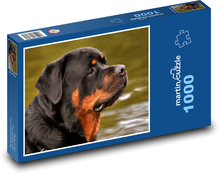 Rottweiler nad wodą Puzzle 1000 elementów - 60x46 cm