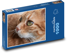 Kot - domowy, czerwonawy Puzzle 1000 elementów - 60x46 cm