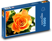 Oranžová ruža Puzzle 1000 dielikov - 60 x 46 cm 