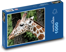 Žirafa - zoo, zvíře Puzzle 1000 dílků - 60 x 46 cm