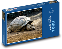 Želva - obří plaz Puzzle 1000 dílků - 60 x 46 cm