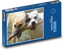 Stafford - Kreuzung, Hunde Puzzle 1000 Teile - 60 x 46 cm