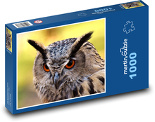 Sova - vták, perie Puzzle 1000 dielikov - 60 x 46 cm 