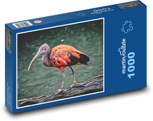 Ibis kuriatko Puzzle 1000 dielikov - 60 x 46 cm 