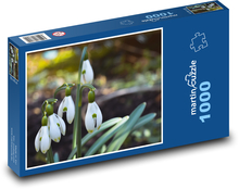 Schneeglöckchen - Frühlingsblumen Puzzle 1000 Teile - 60 x 46 cm