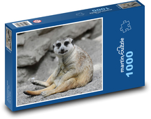 Surikata - zoo, zviera Puzzle 1000 dielikov - 60 x 46 cm 