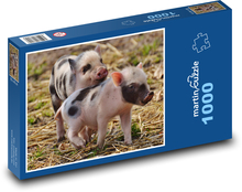Ferkel, Jungtiere, Schweine Puzzle 1000 Teile - 60 x 46 cm