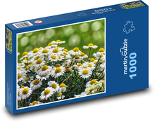 Sedmikrásky - květ, zahrada Puzzle 1000 dílků - 60 x 46 cm
