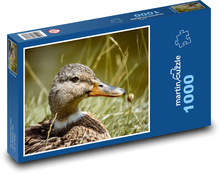 Mallard - pond, nature Puzzle 1000 pieces - 60 x 46 cm 