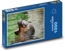 Lachtan - zvíře, příroda Puzzle 1000 - 60x46 cm