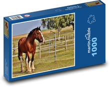 Koń - zagroda, jazda konna Puzzle 1000 elementów - 60x46 cm