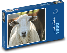 Sheep - animal, pasture Puzzle 1000 pieces - 60 x 46 cm 
