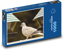 Dove - bird, animal Puzzle 1000 pieces - 60 x 46 cm 