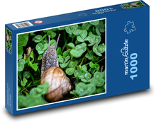 Schnecke - Muschel, Tier Puzzle 1000 Teile - 60 x 46 cm