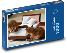 Veveričky - mláďatá, zvieratá Puzzle 1000 dielikov - 60 x 46 cm 