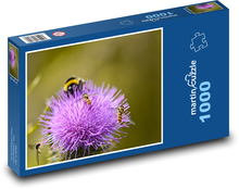 Thistle - bumblebee, flower Puzzle 1000 pieces - 60 x 46 cm 