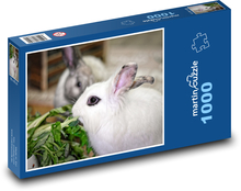 Zakrpatený králik - domáce zviera Puzzle 1000 dielikov - 60 x 46 cm